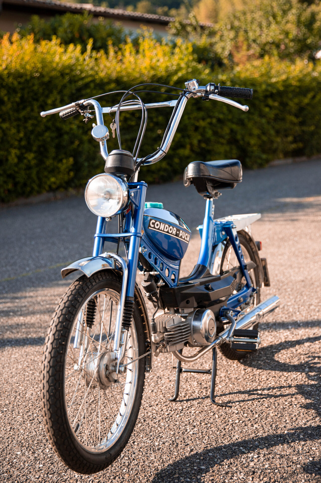 Puch Racing - Vendeur & réparateur de PUCH MAXI - Jura